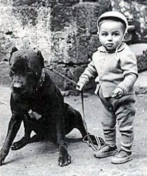 Historical Photo, Cane Corso with child