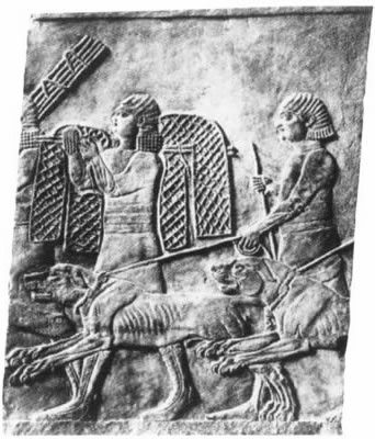 Wall Relief of Assyrian Mastiffs and handlers with hunting nets (approx 1200 B.C.) 