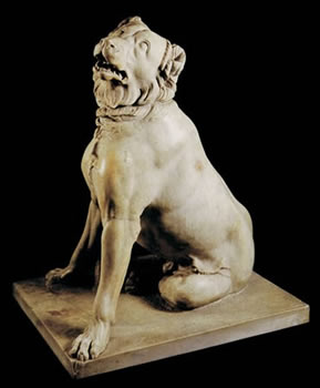 The Dog of Alcibiades - 400BC
