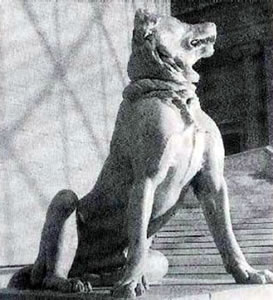 The Dog of Alcibiades - 400BC