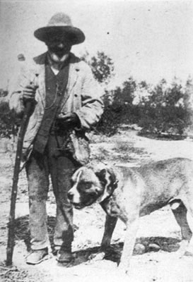 Cane Corso, 1920