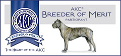 AKC Breder of Merit, About Time Cane Corso